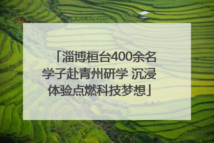 淄博桓台400余名学子赴青州研学 沉浸体验点燃科技梦想