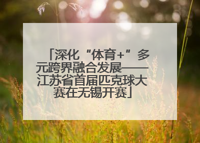 深化“体育+”多元跨界融合发展——江苏省首届匹克球大赛在无锡开赛