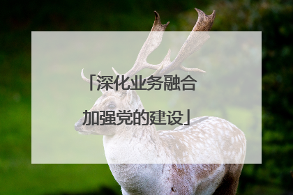 深化业务融合 加强党的建设