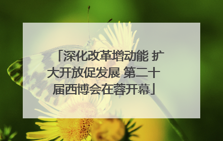 深化改革增动能 扩大开放促发展 第二十届西博会在蓉开幕