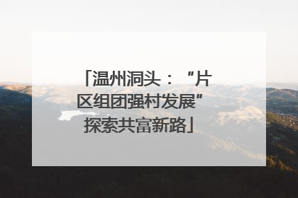 温州洞头：“片区组团强村发展”探索共富新路