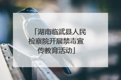 湖南临武县人民检察院开展禁毒宣传教育活动