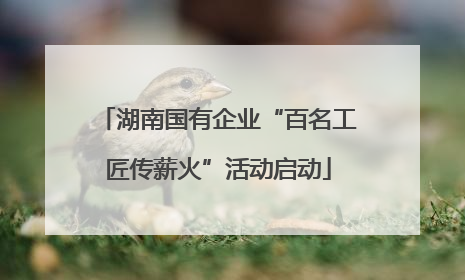 湖南国有企业“百名工匠传薪火”活动启动