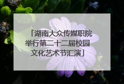 湖南大众传媒职院举行第二十二届校园文化艺术节汇演