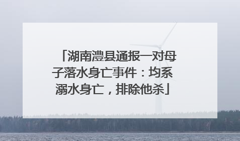 湖南澧县通报一对母子落水身亡事件：均系溺水身亡，排除他杀