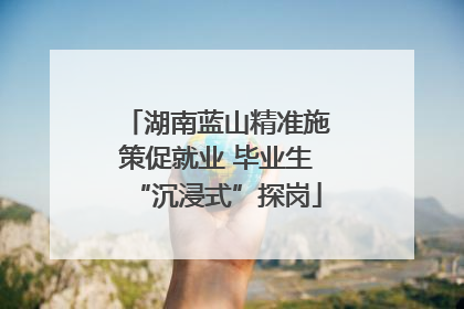湖南蓝山精准施策促就业 毕业生“沉浸式”探岗