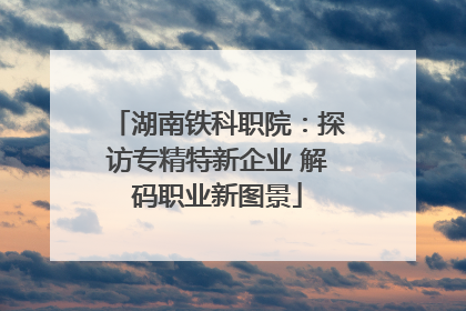 湖南铁科职院：探访专精特新企业 解码职业新图景