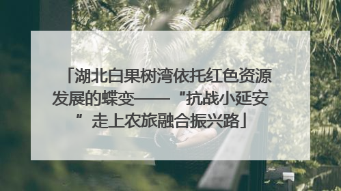 湖北白果树湾依托红色资源发展的蝶变——“抗战小延安”走上农旅融合振兴路