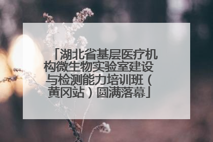 湖北省基层医疗机构微生物实验室建设与检测能力培训班（黄冈站）圆满落幕
