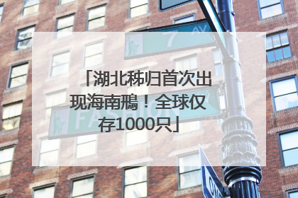 湖北秭归首次出现海南鳽！全球仅存1000只