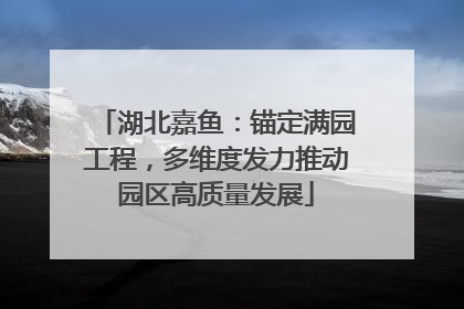 湖北嘉鱼：锚定满园工程，多维度发力推动园区高质量发展