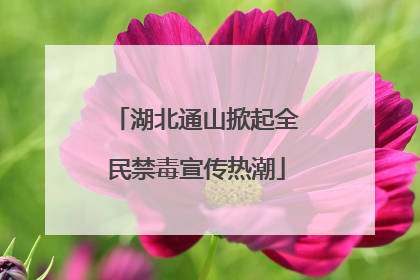 湖北通山掀起全民禁毒宣传热潮