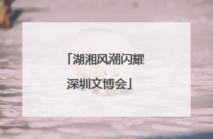 湖湘风潮闪耀深圳文博会