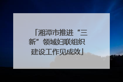 湘潭市推进“三新”领域妇联组织建设工作见成效