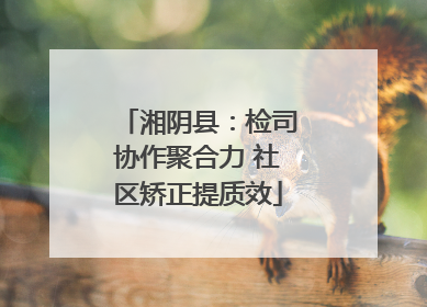 湘阴县：检司协作聚合力 社区矫正提质效