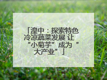 湟中：探索特色冷凉蔬菜发展 让“小菊芋”成为“大产业”