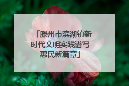 滕州市滨湖镇新时代文明实践谱写惠民新篇章