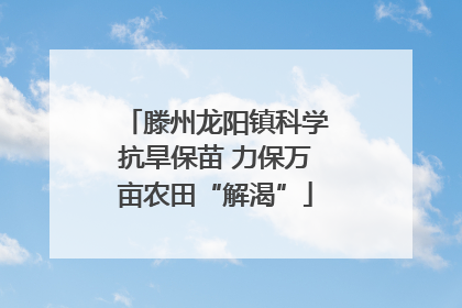 滕州龙阳镇科学抗旱保苗 力保万亩农田“解渴”