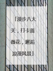 漫步八大关，打卡蔷薇花，邂逅浪漫风景