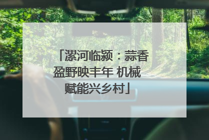 漯河临颍：蒜香盈野映丰年 机械赋能兴乡村