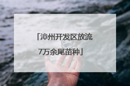 漳州开发区放流7万余尾苗种