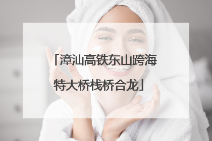 漳汕高铁东山跨海特大桥栈桥合龙