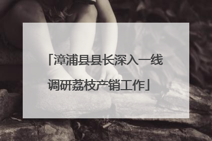 漳浦县县长深入一线调研荔枝产销工作