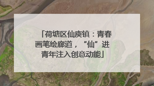 荷塘区仙庾镇：青春画笔绘廊道，“仙”进青年注入创意动能
