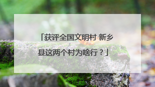获评全国文明村 新乡县这两个村为啥行？