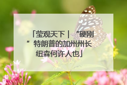 莹观天下｜“硬刚”特朗普的加州州长纽森何许人也