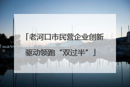 老河口市民营企业创新驱动领跑“双过半”