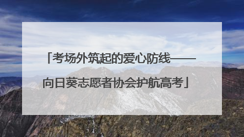 考场外筑起的爱心防线——向日葵志愿者协会护航高考