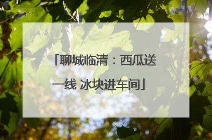 聊城临清：西瓜送一线 冰块进车间