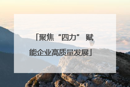 聚焦“四力” 赋能企业高质量发展