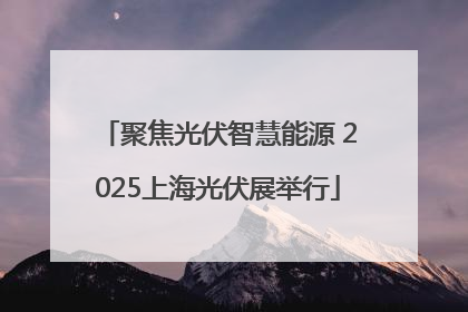 聚焦光伏智慧能源 2025上海光伏展举行