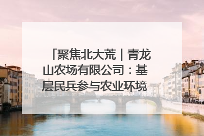聚焦北大荒｜青龙山农场有限公司：基层民兵参与农业环境综合治理显效