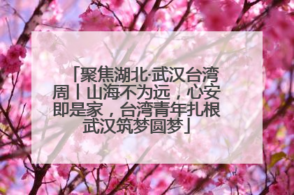 聚焦湖北·武汉台湾周丨山海不为远，心安即是家，台湾青年扎根武汉筑梦圆梦