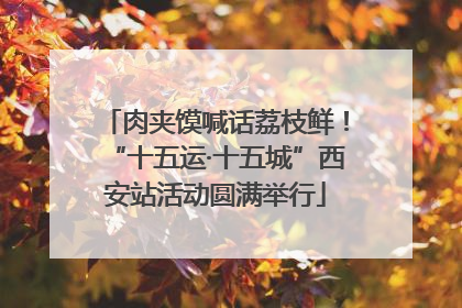 肉夹馍喊话荔枝鲜！“十五运·十五城”西安站活动圆满举行