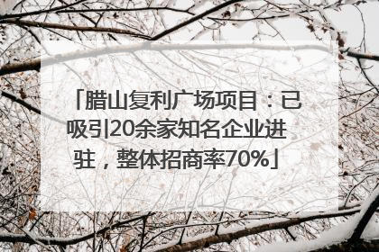腊山复利广场项目：已吸引20余家知名企业进驻，整体招商率70%