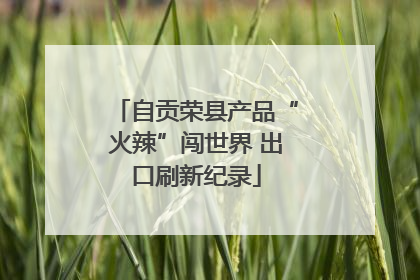 自贡荣县产品“火辣”闯世界 出口刷新纪录