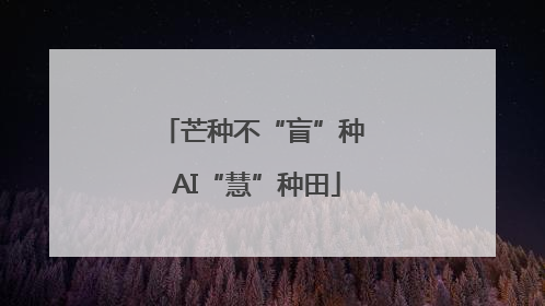 芒种不“盲”种 AI“慧”种田