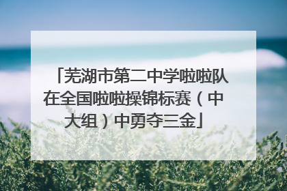 芜湖市第二中学啦啦队在全国啦啦操锦标赛（中大组）中勇夺三金