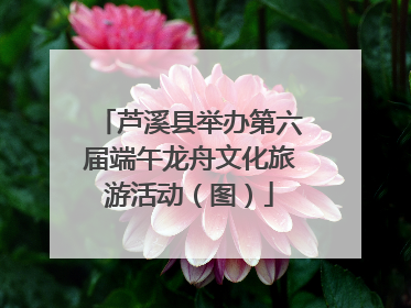 芦溪县举办第六届端午龙舟文化旅游活动（图）