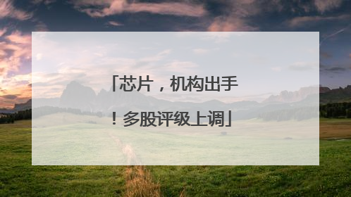 芯片，机构出手！多股评级上调