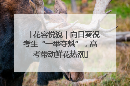花容悦貌｜向日葵祝考生“一举夺魁”，高考带动鲜花热潮