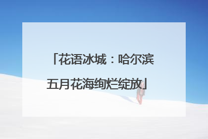 花语冰城：哈尔滨五月花海绚烂绽放