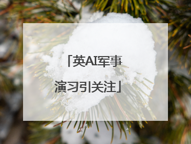 英AI军事演习引关注