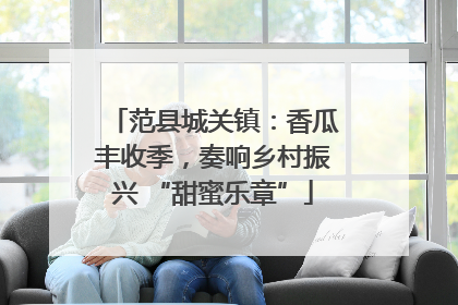 范县城关镇：香瓜丰收季，奏响乡村振兴 “甜蜜乐章”