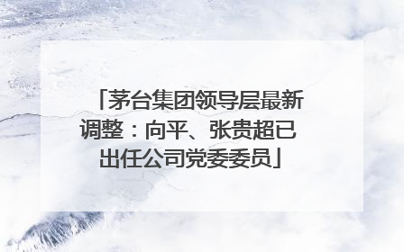 茅台集团领导层最新调整：向平、张贵超已出任公司党委委员