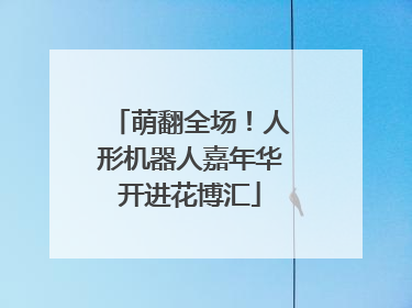萌翻全场！人形机器人嘉年华开进花博汇